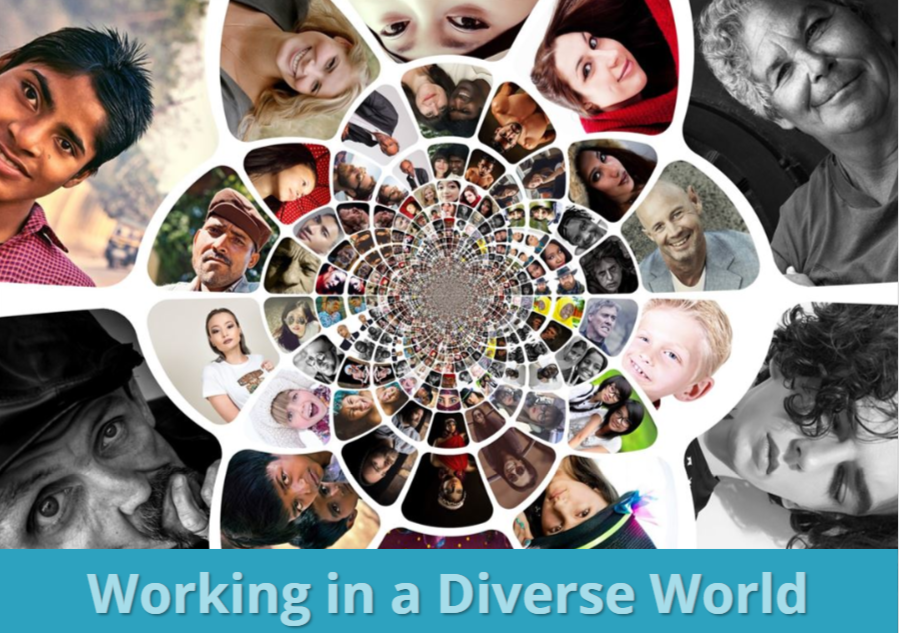 Working in a Diverse World (CE026_CRN60446)